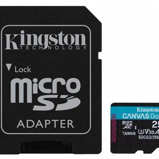 Kingston Micro SDXC karta Kingston256GB